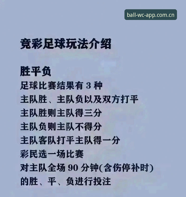 世界杯买球安卓版深度分析：从下载到竞猜的全链路体验与价值评估